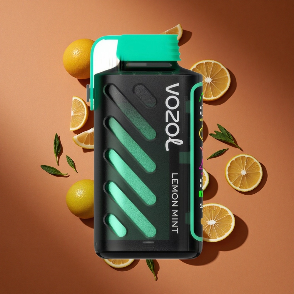 VOZOL Gear Power 20000 Pufova Дуал Месх Цоил Limun Nana